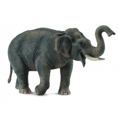 Figurina elefant asiatic xl collecta