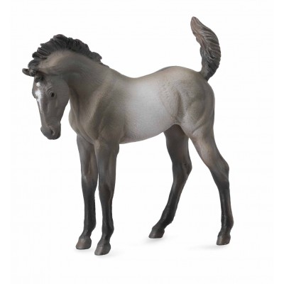 Mustang - grulla manz