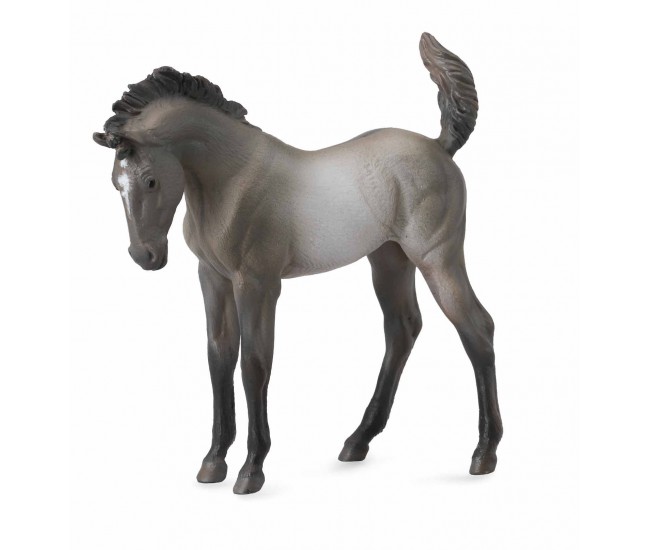 Mustang - grulla manz