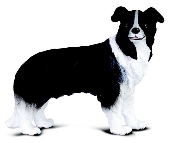 Figurina border collie