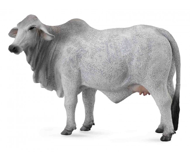 Figurina vaca brahman l collecta