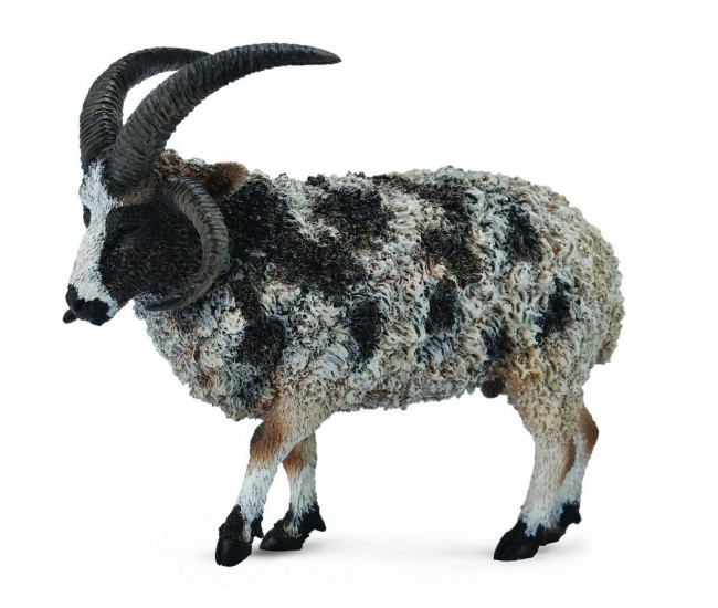 Figurina jacob sheep l collecta