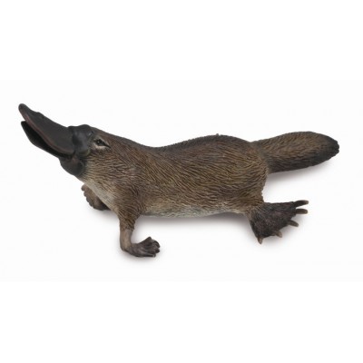 Figurina platypus m collecta