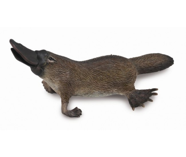 Figurina platypus m collecta