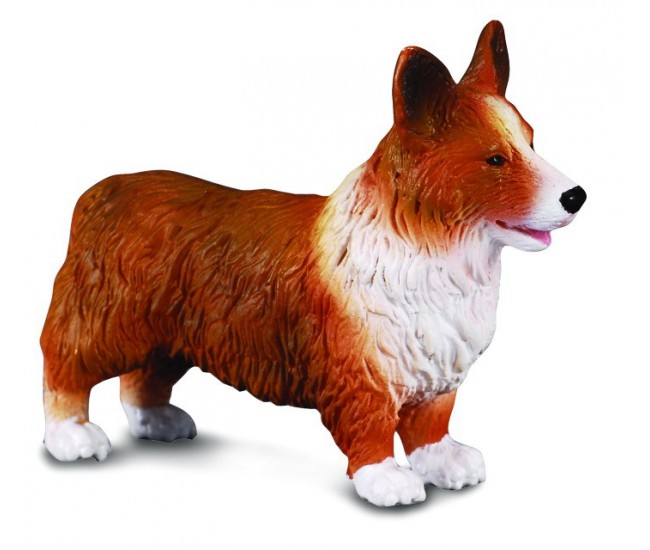 Corgi - collecta