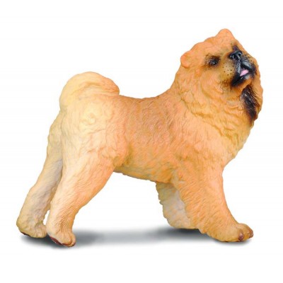 Chow chow - collecta