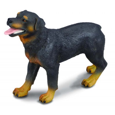 Rottweiler - collecta