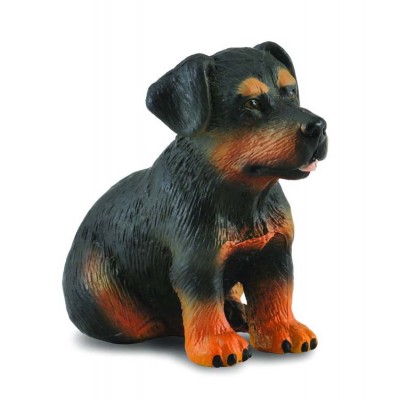 Catelus rottweiler - collecta