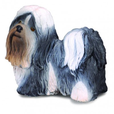 Shih tzu - collecta