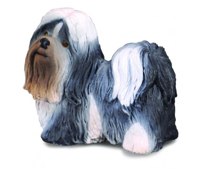 Shih tzu - collecta