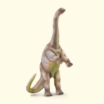 Rhoetosaurus  - collecta