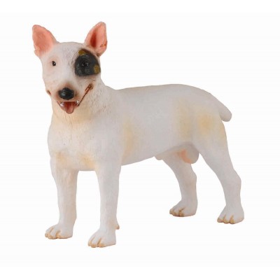 Caine bull terrier mascul - collecta