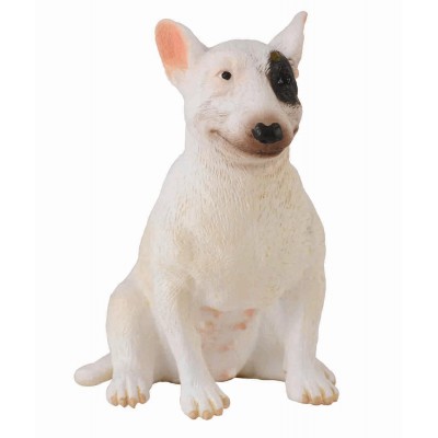 Caine bull terrier femela - collecta