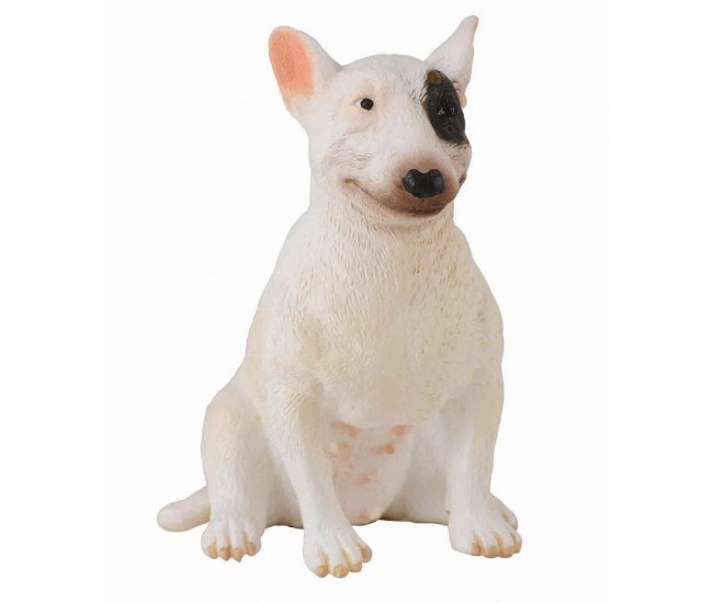 Caine bull terrier femela - collecta