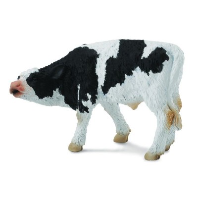 Friesian pui - collecta