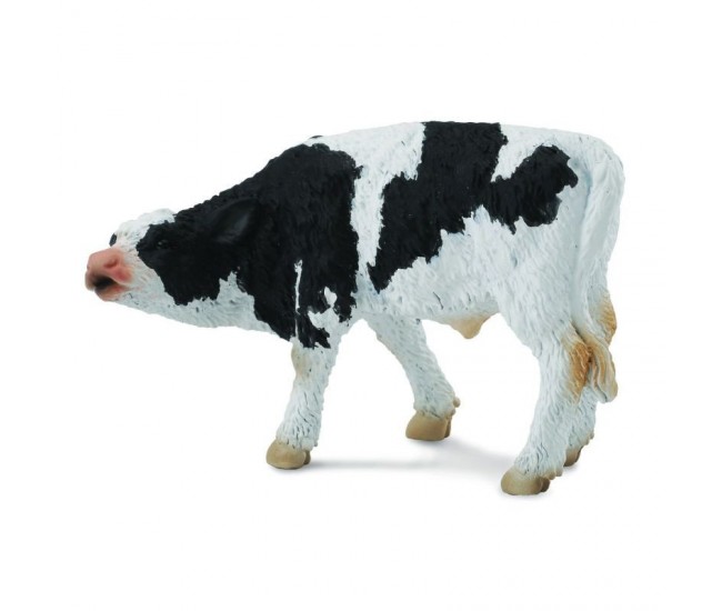 Friesian pui - collecta