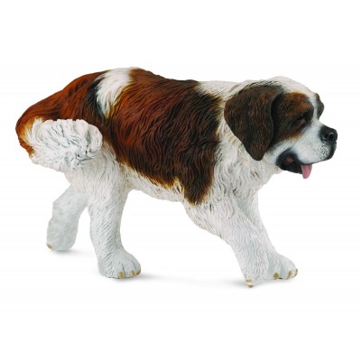 Saint bernard - collecta