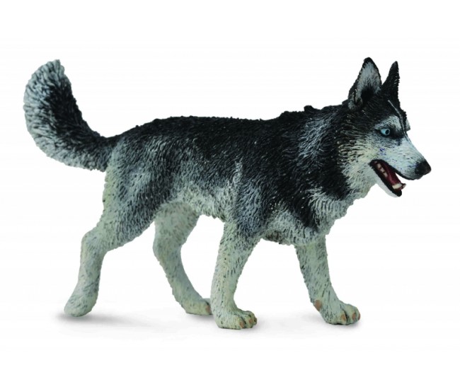 Figurina caine husky siberian l collecta