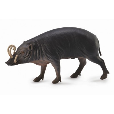 Figurina porc sulawesi babirusa l collecta