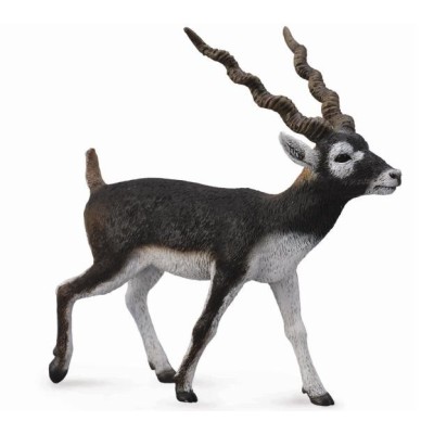 Figurina pictata manual antilopa blackbuck