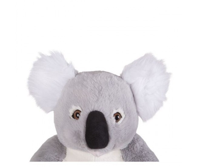 Koala gigant din plus