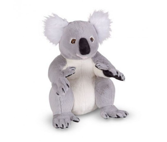 Koala gigant din plus