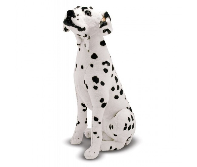 Catel dalmatian din plus