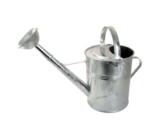 Stropitoare metalica zincata, para dus detasabila, 5 L, Strend Pro  