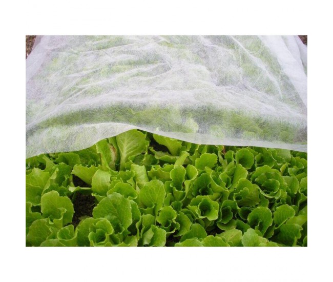 Folie textila alba protectie plante 1,6x10m(17g/m)