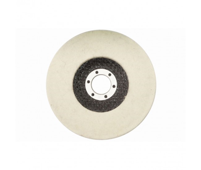 Disc lustruit, pasla, 125x10x22.2 mm