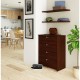 Dulap depozitat incaltaminte, pantofar, placa laminata, 4 sertare, wenge, 60x33x80 cm