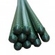 Suport/arac pentru plante, rosii, metal + PVC, verde, 0.8x75 cm, Strend Pro