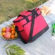 Geanta termoizolanta pentru picnic sau plaja, capacitate 16l, culoare Rosie