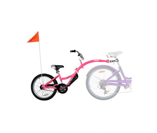 Bicicleta Co-Pilot Roz WeeRide WR06PK