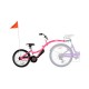 Bicicleta Co-Pilot Roz WeeRide WR06PK