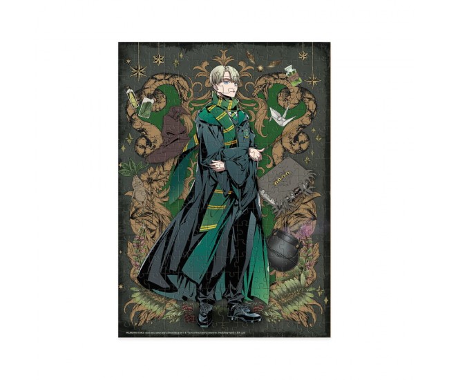 Puzzle Harry Potter - Draco Malfoy (250 piese)