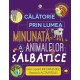 Calatorie in lumea minunata a animalelor salbatice