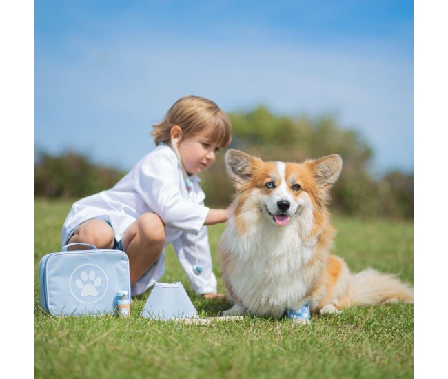 Setul micului veterinar