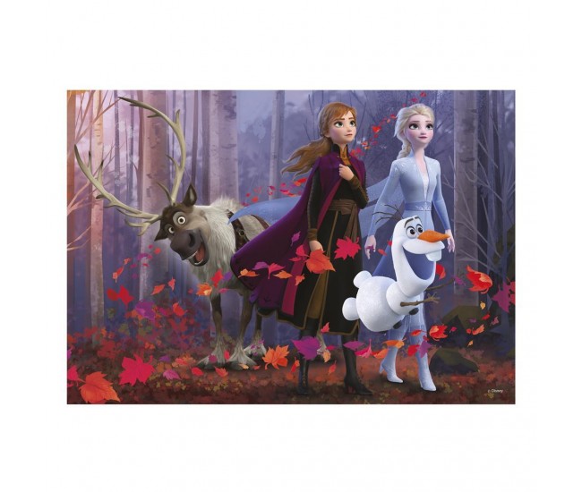 Puzzle - Frozen II (300 piese XL)