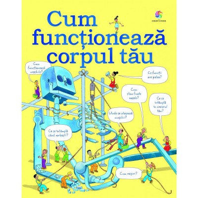 Cum functioneaza corpul tau