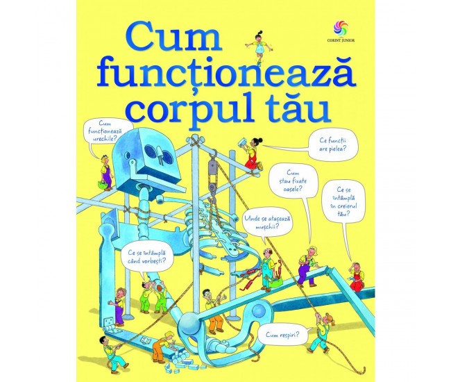 Cum functioneaza corpul tau