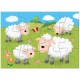 Set 4 puzzle-uri Animale de la ferma (4, 6, 8, 12 piese)