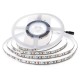 Banda led smd2835 120led/m 24v 6500k ip20 10m