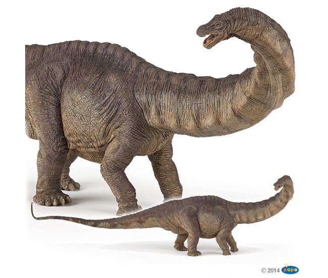 Apatosaurus Dinozaur - Figurina Papo