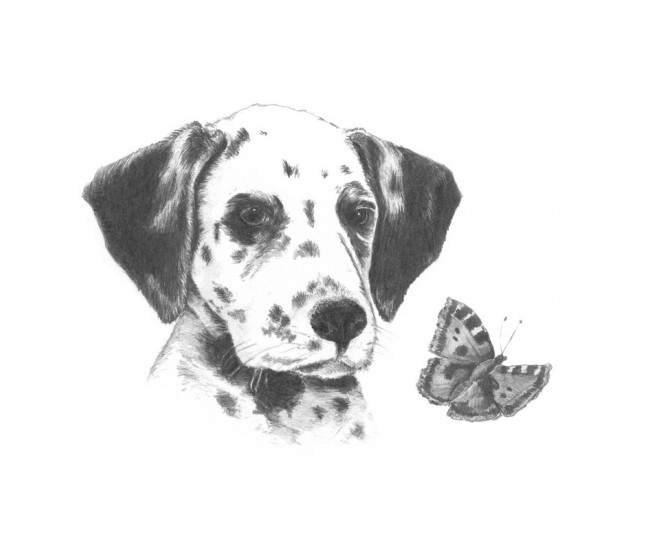 Crochiu incepatori-Dalmatian 13x18 cm