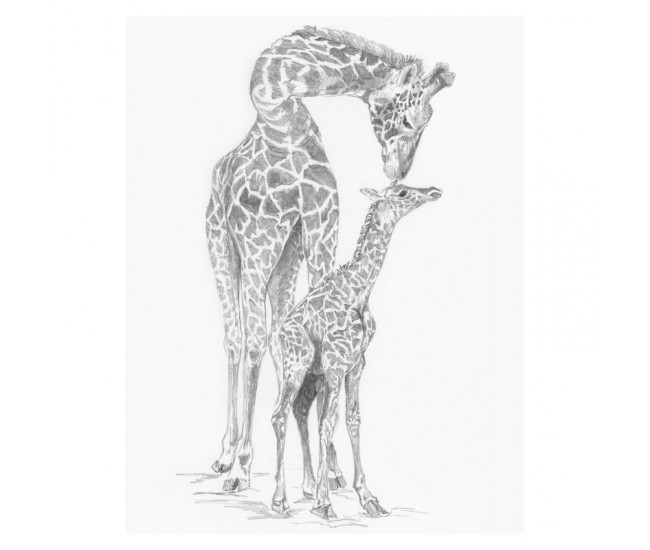 Crochiu incepatori-Girafa cu pui 22x29 cm