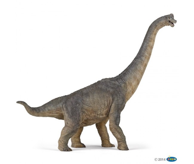 Figurina Papo -Brachiosaurus Dinozaur