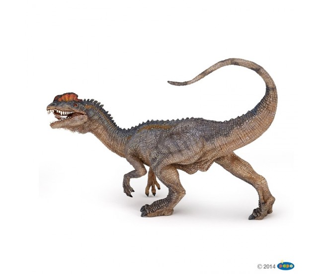 Figurina Papo -Dilophosaurus Dinozaur