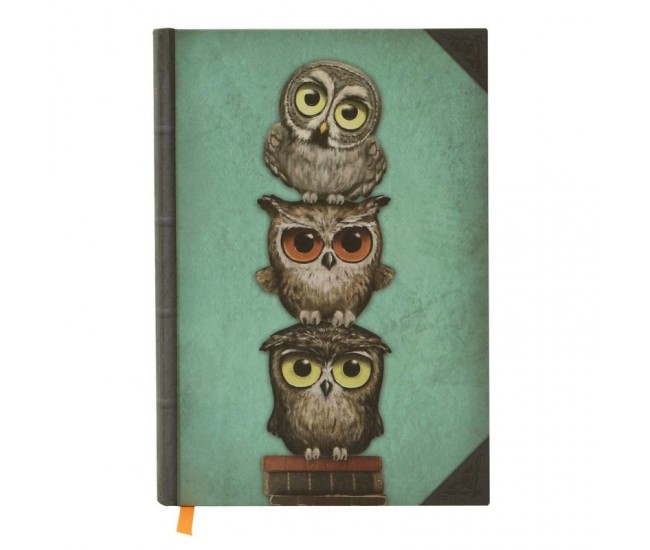 Grumpy Owl Agenda coperti tari