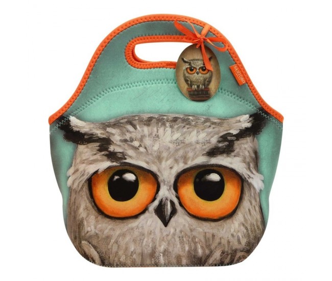 Grumpy Owl Geanta pranz Book Owl